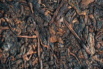 Black pressed chinese pu-erh tea, close up. 