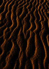Sand texture outlined by the wind. Wavy shapes of light and shadow.