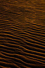 Sand texture outlined by the wind. Wavy shapes of light and shadow.