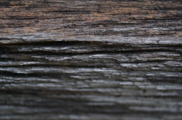 Fototapeta premium Texture of old rough wood. Abstract background for design of vintage retro. 