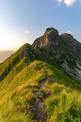 Grat zum Entschenkopf Allgäu