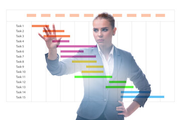 Businesswoman in project management concept