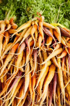 Bunch of carrots at a farmer's market
