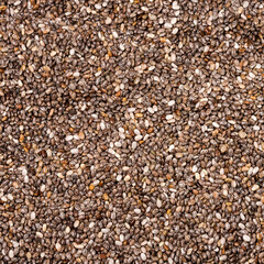 Salvia hispanica - Organic and healthy chia seeds