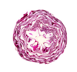 Obraz premium Red cabbage section close up.