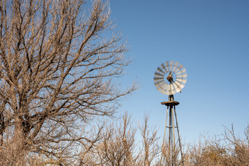 Spinning Water Pump Windmill Sits Among Bare Trees