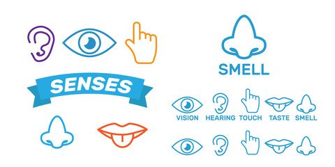 Five senses icon. Sets of icons representing the five senses