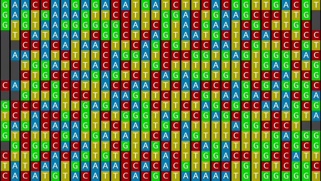Loopable: DNA genetic matching and analysis abstract background with square color-coded DNA components C, G, A, T. Genomic data processing concept.