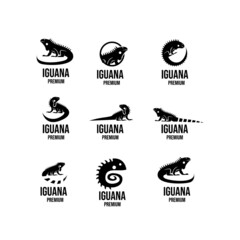 set collection iguana logo icon design illustration vector