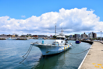 Fototapeta premium 快晴の片瀬漁港に停泊する漁船