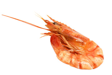 Fresh cooked shrimp isolated on white background