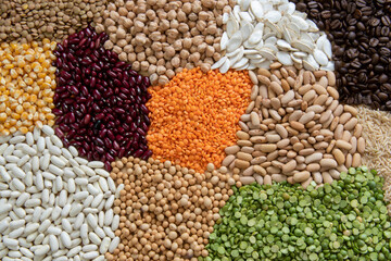 Fiber source examples