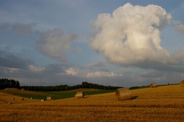 Fototapeta premium Representative summer Hokkaido landscape in Biei district with hay bales