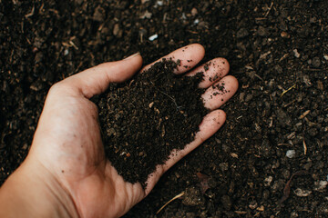 Close up of hands holding fertilizer or organic manure. Organic fertilizer for for planting trees or vegetables. Agriculture and gardening concept.
