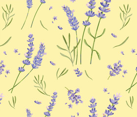 Hand drawn lavender flower pattern