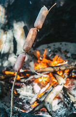 Sausages on a wooden stick being cooked over the bonfire next to a tree during a barbacue on a beach