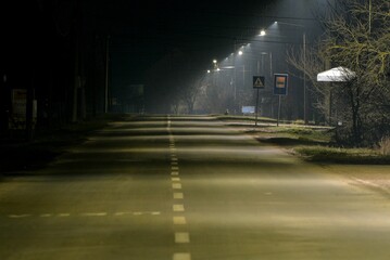 The road in the main street of the village Krajisnik,at night.