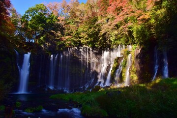 秋　紅葉の白糸ノ滝