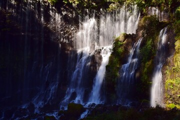 秋　紅葉の白糸ノ滝