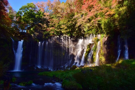 秋 紅葉の白糸ノ滝 © sada