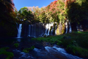 秋　紅葉の白糸ノ滝