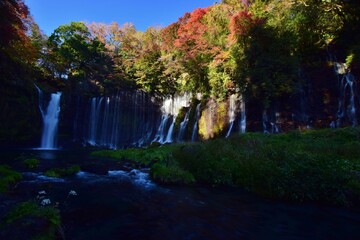 秋　紅葉の白糸ノ滝