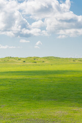 The grassland landscape in Hulun Buir, Inner Mongolia, China, summer time.