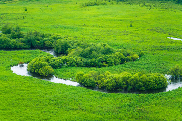Obraz premium The wetland landscape in Hulun Buir, Inner Mongolia, China, summer time.