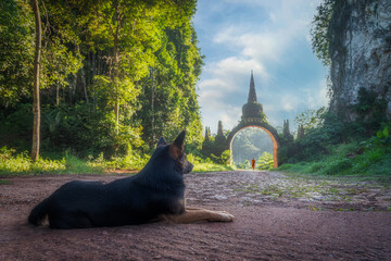 A dog is looking at monk walking from the arch of Khao Na Nai Luang Dharma Park at Surat Thani in Thailand. At the arch has Thai words translated is “Phutthawadee arch”