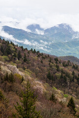 Obraz premium Spring Landscape near the Blue Ridge Parkway in North Carolina