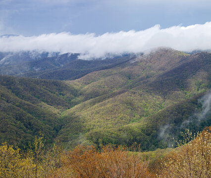 Balsam Mountain, Great Smoky Mountains National Park, NC