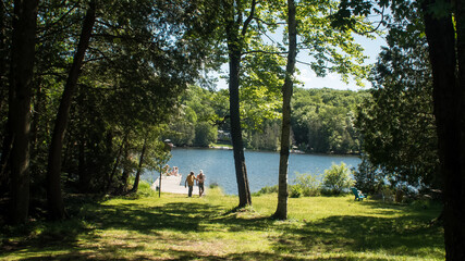 Blue resort lake surrounded by trees in summer