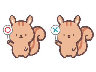 正解札と不正解札を持つリスのセット