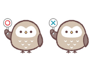 正解札と不正解札を持つフクロウのセット