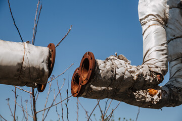 Fototapete bei efototapeten.de bestellen   