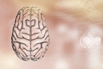 Medical 3D illustration - human brain, nerve development concept - very detailed hi-tech texture or background