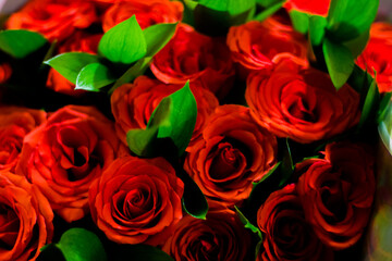 bouquet of red roses for the holiday. flowers view from the top. Happy Birthday.
