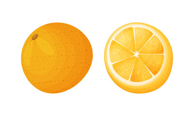 Fresh ripe fruits set. Orange and lemon organic vegetarian food cartoon vector illustration