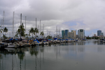 Fototapeta na wymiar ハワイ　2010