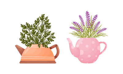 Garden potted plants in pots of different shapes set. Ceramic flower pot in shape of teapots vector illustration