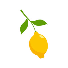 Fresh lemon fruits icon isolated on white background