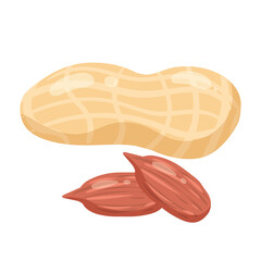 Peanits natural healthy organic nutrition product, shell and open. Vector doodle cartoon flat trendy illustration hand drawn isolated