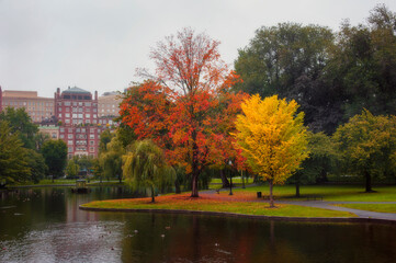 Fototapeta na wymiar Foliage at Boston Common