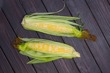 Two ears of corn with leaves and corn silk