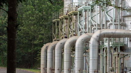 geothermal pipelines between plantations and forests