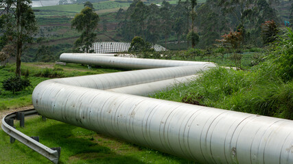 geothermal pipelines between plantations and forests