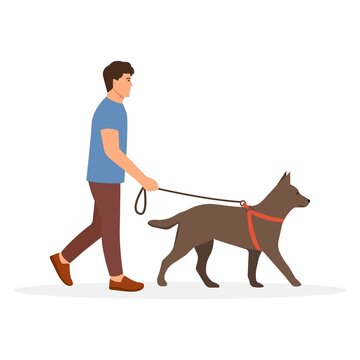 Man walking with dog. Pet owner strolling with big dog on leash. Vector illustration isolated on white background