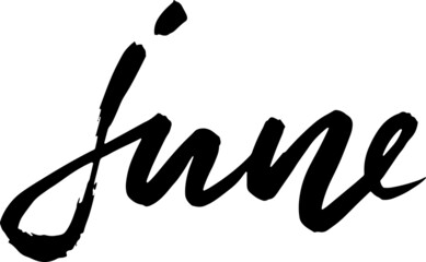 Hand drawn typography lettering. June. Month inscription. Vector Illustration.