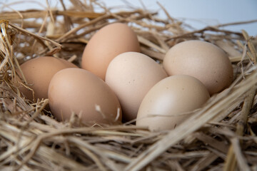 easter basket with easter eggs on straw background