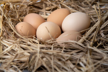 easter basket with easter eggs on straw background